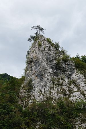 LX15-000458.jpg