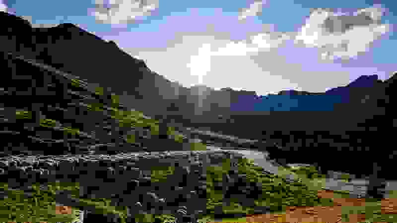 D810-039250.jpg