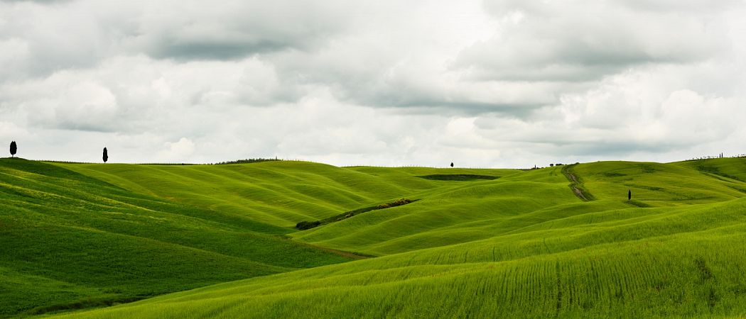 D810-042707-Pano.jpg