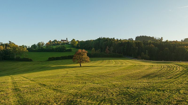 LX15-080711.jpg