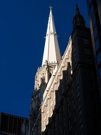 NZ6-029495.jpg