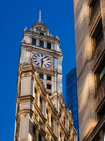 NZ6-029532.jpg