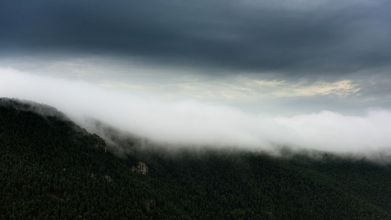 D810-006592.jpg