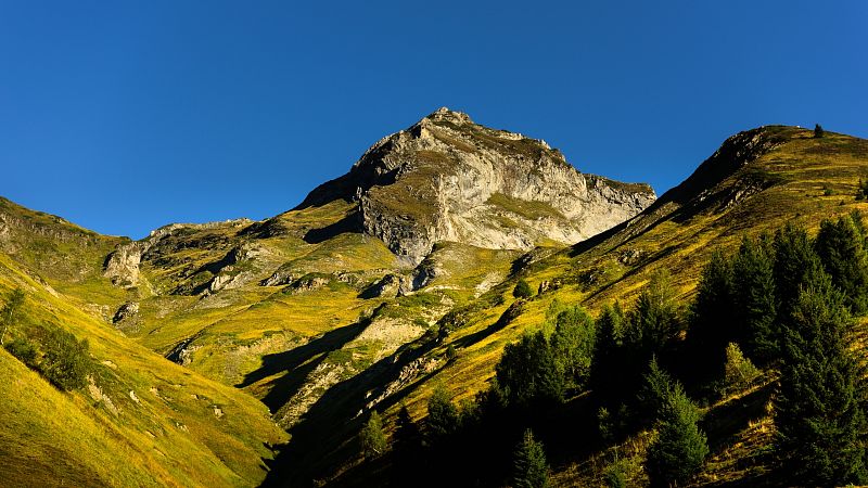 D810-006698.jpg