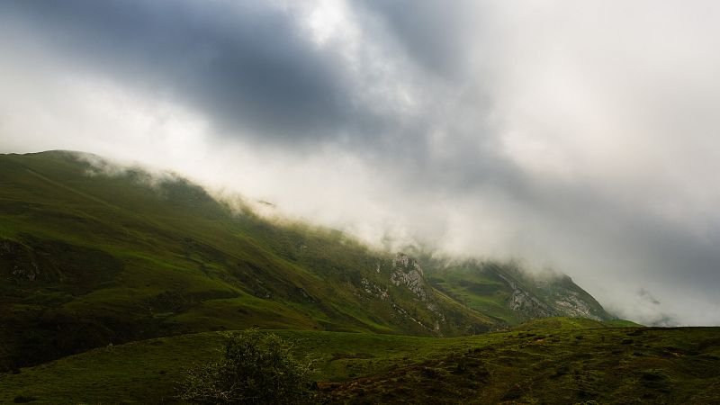 D810-006770.jpg