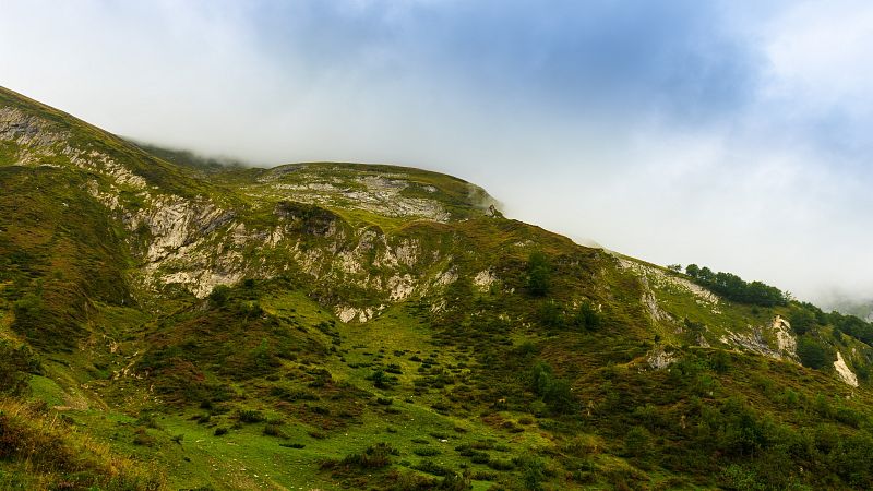 D810-006811.jpg
