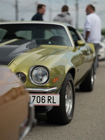 NZ8-016571.jpg
